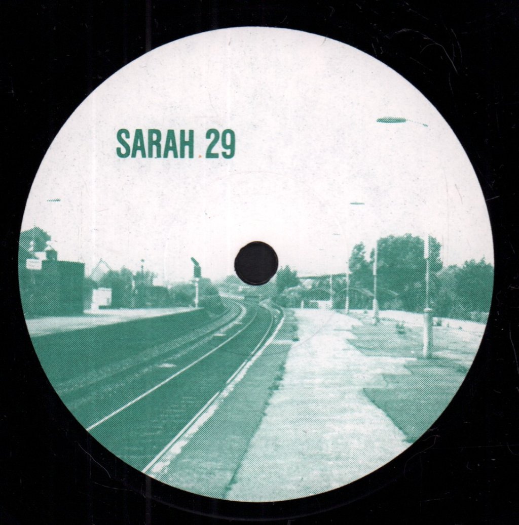 Orchids (Indie Group) - Something For The Longing - 7 Inch