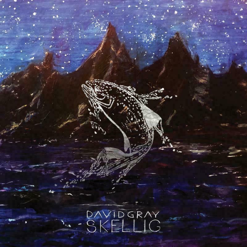 David Gray - Skellig - Double Lp