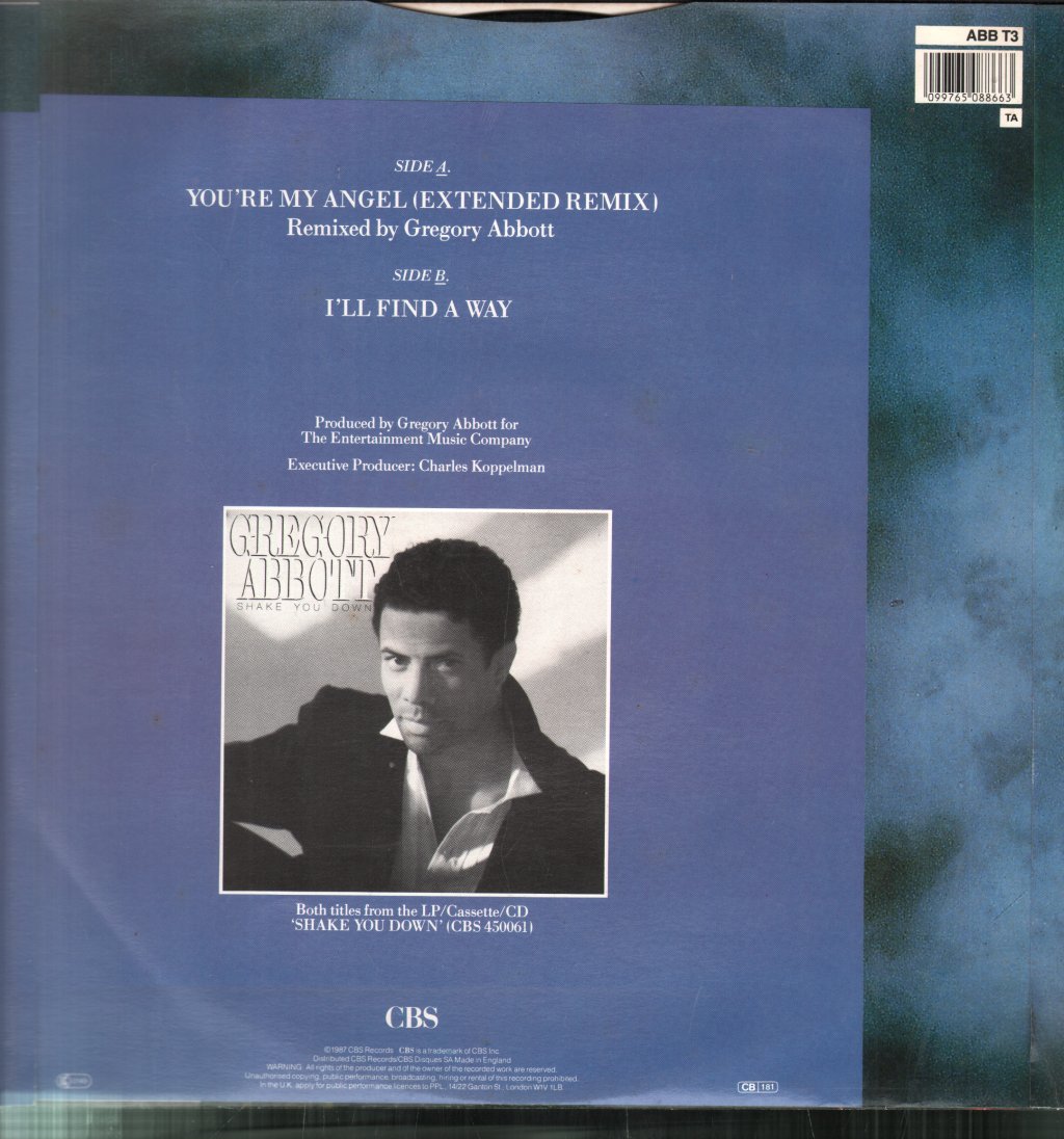 Gregory Abbott - You're My Angel - 12 Inch