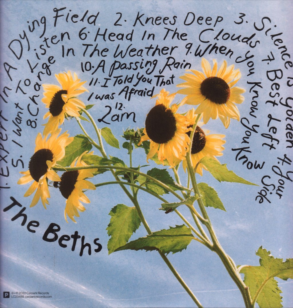 Beths - Expert In A Dying Field - Lp