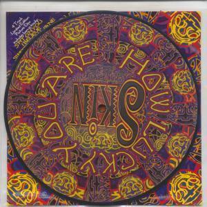 Skin (Rock/Metal Group) - How Lucky You Are - 7 Inch