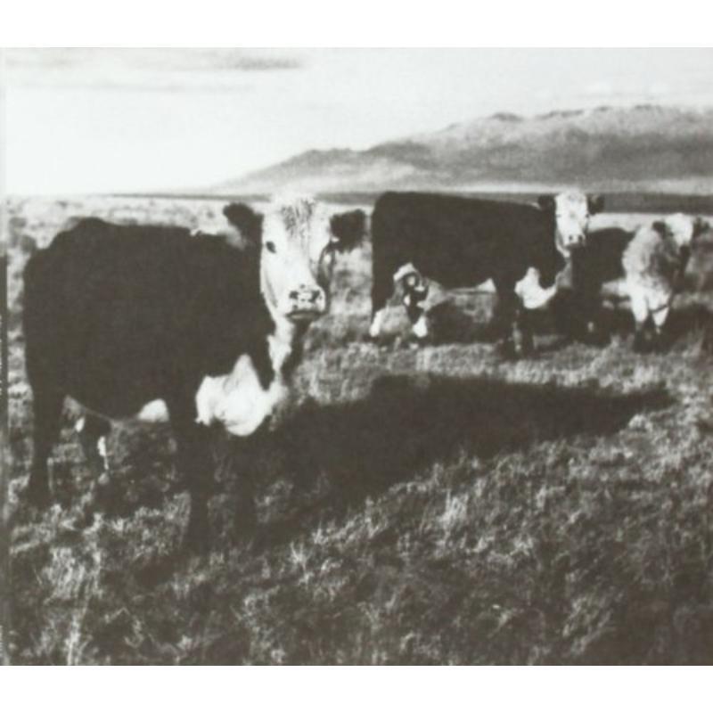 Mark Kozelek - Finally LP - Cd