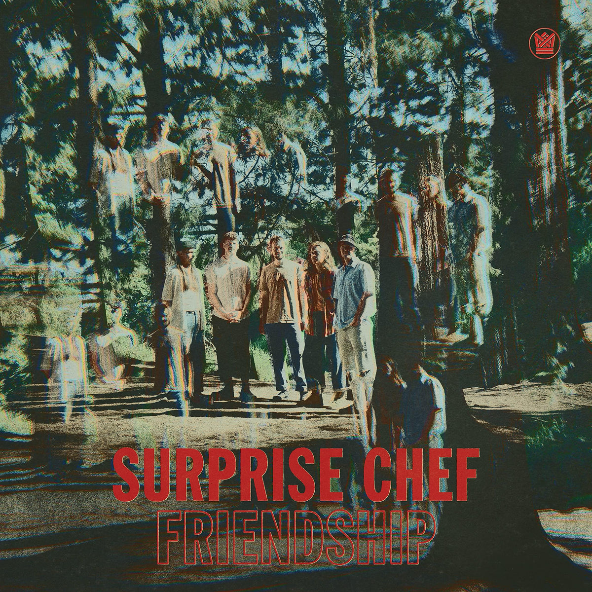 Surprise Chef - Friendship - Lp