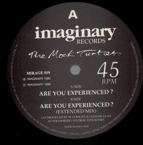 Mock Turtles - Are You Experienced - 12 Inch
