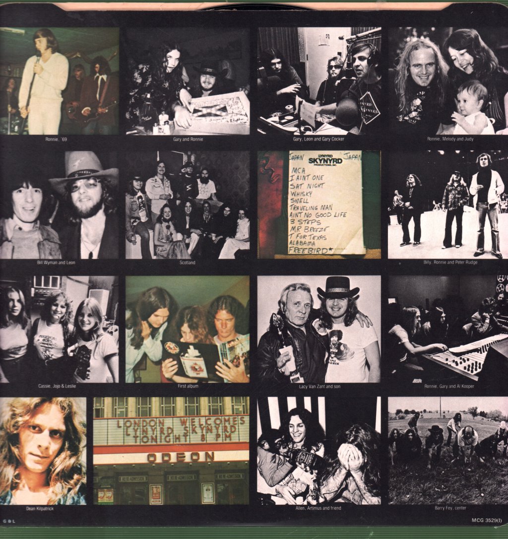 Lynyrd Skynyrd - Skynyrd's First And... Last - Lp