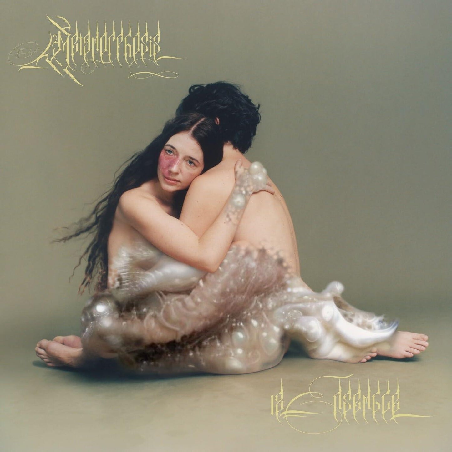 12 Ensemble - Metamorphosis - Cd