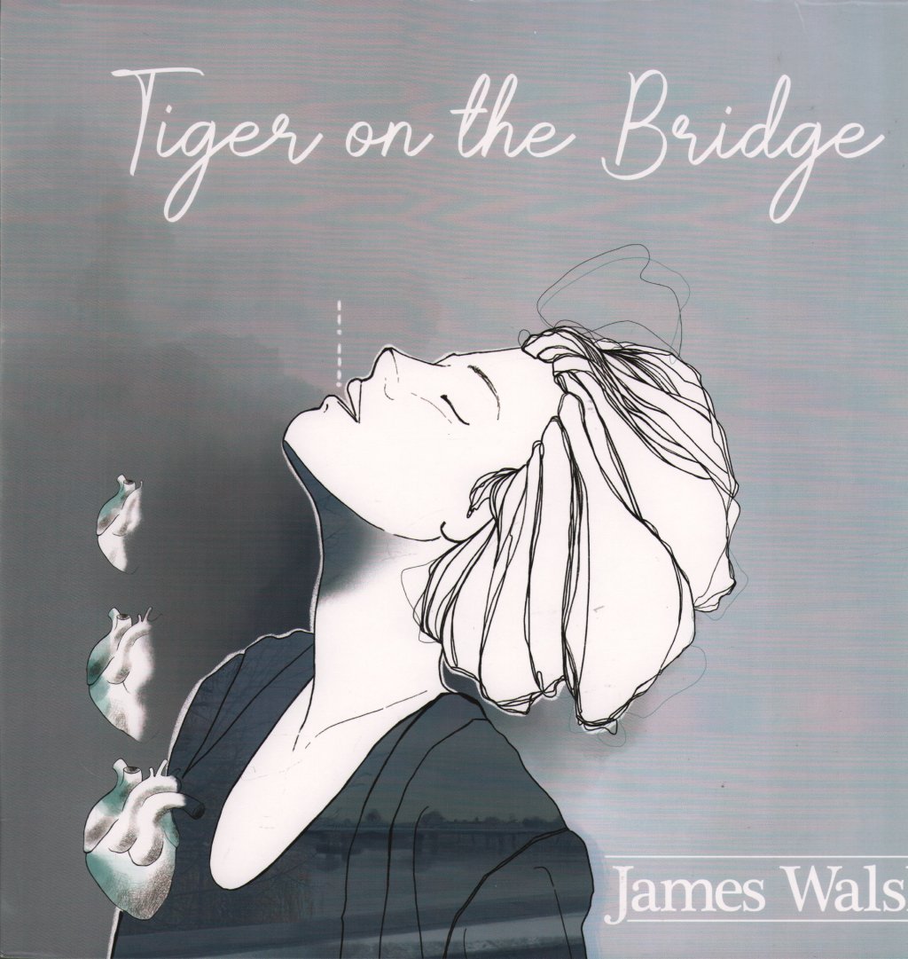 James Walsh - Tiger On The Bridge - Lp