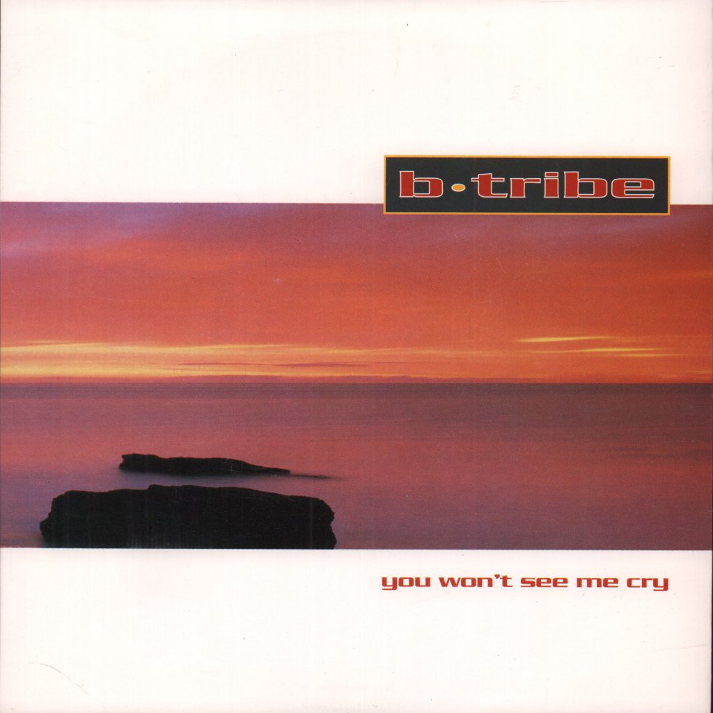 B Tribe - You Won't See Me Cry - 7 Inch