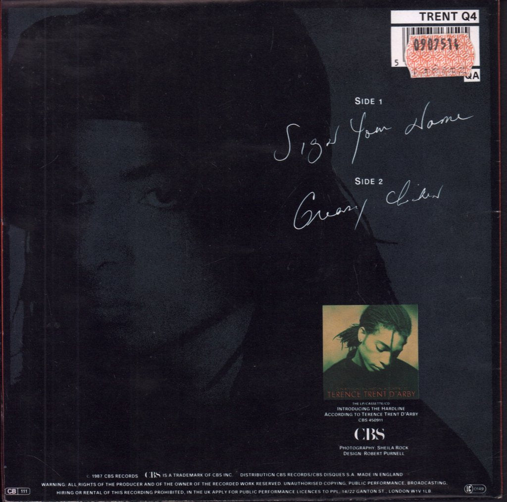 Terence Trent D'Arby - Sign Your Name - 7 Inch