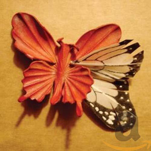 Essie Jain - We Made This Ourselves - Cd