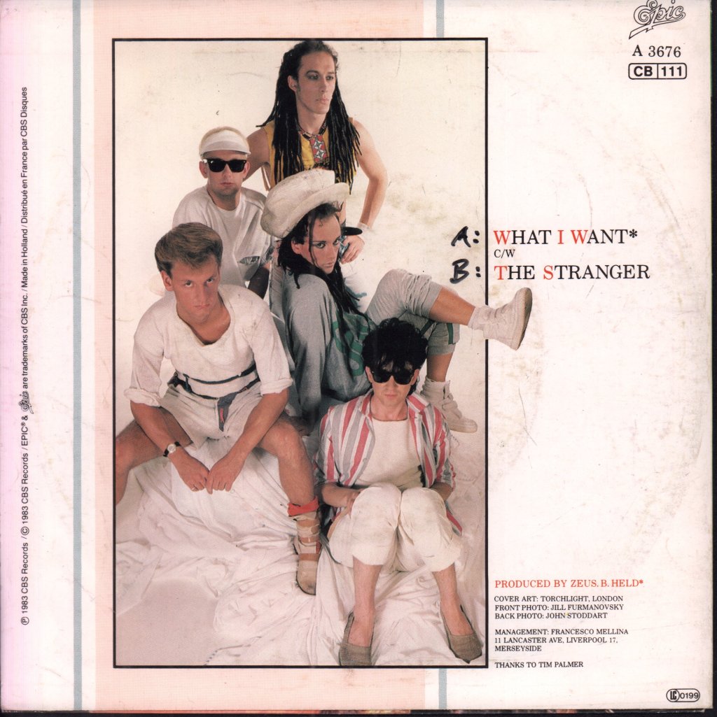 Dead Or Alive - What I Want - 7 Inch