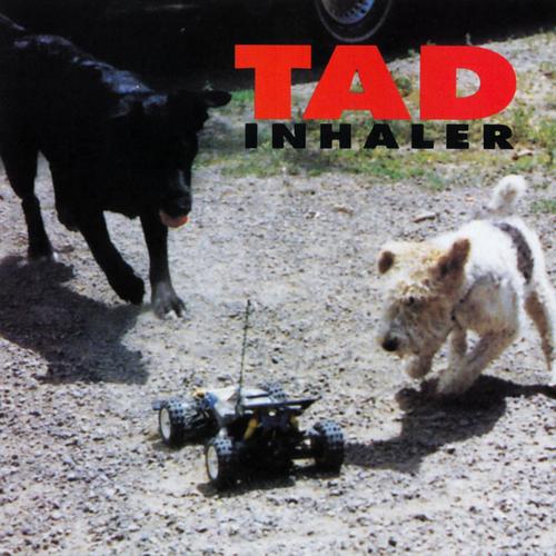 Tad - Inhaler - Lp