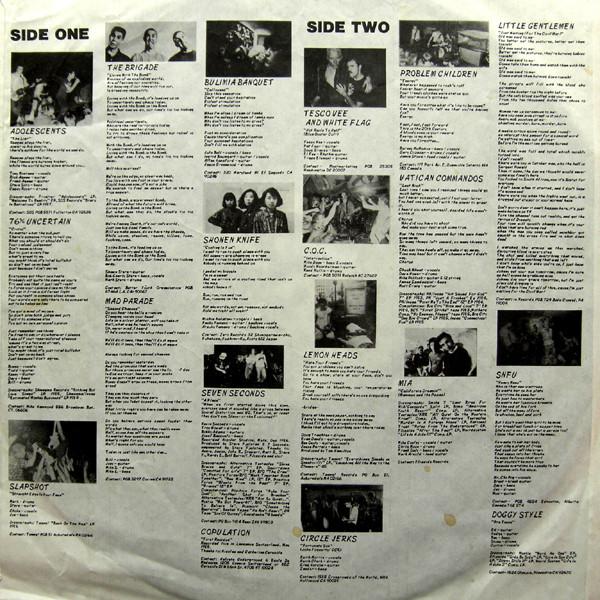 Various - Flipside Tunes - Vinyl Fanzine Volume Three - Lp