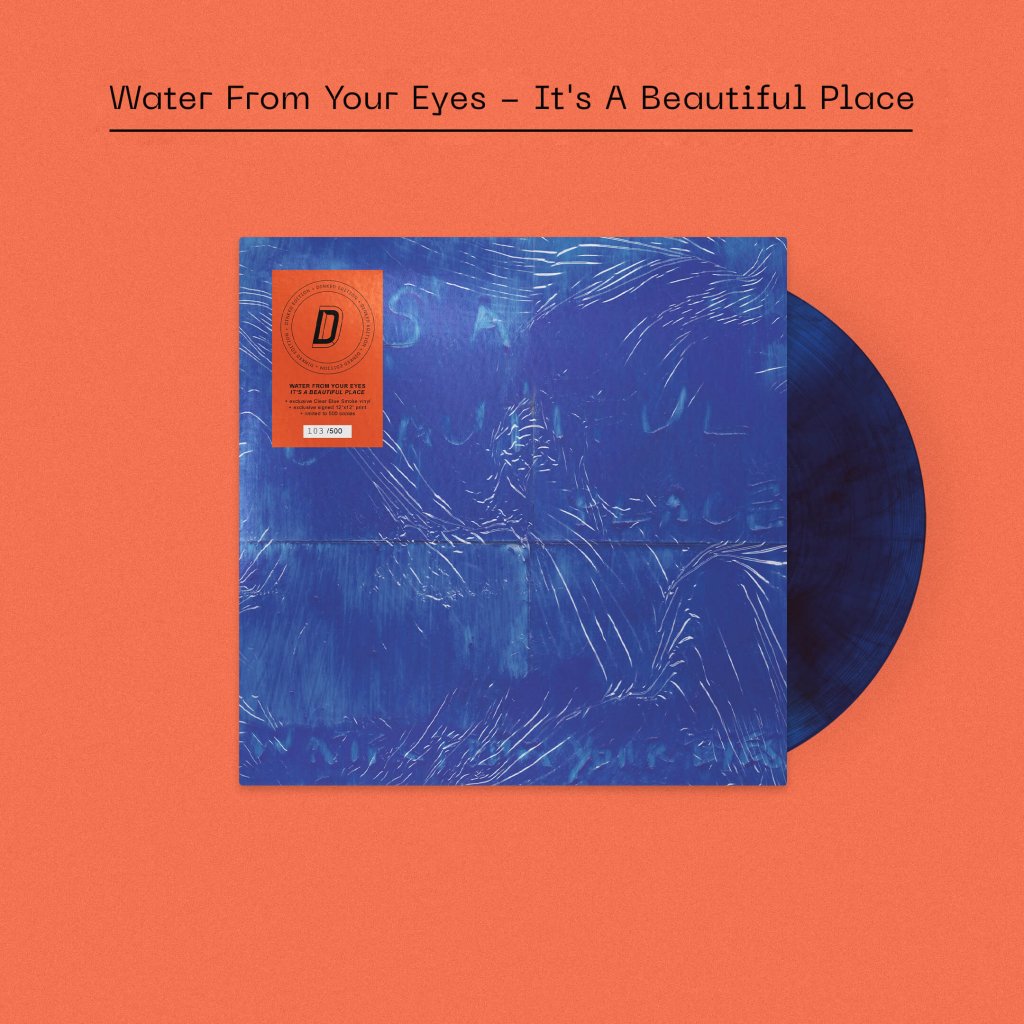Water From Your Eyes - It's A Beautiful Place (Dinked Edition #350) - Lp