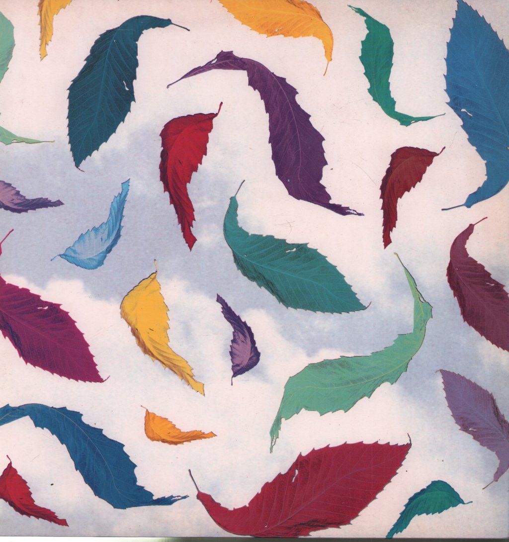 New Order - True Faith Remix - 12 Inch