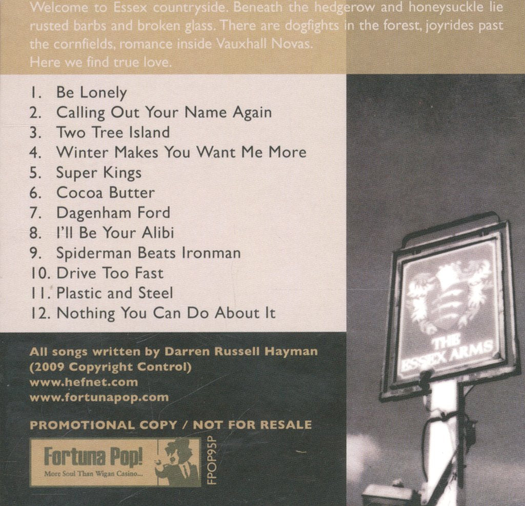 Darren Hayman And The Secondary Modern - Essex Arms - Cd