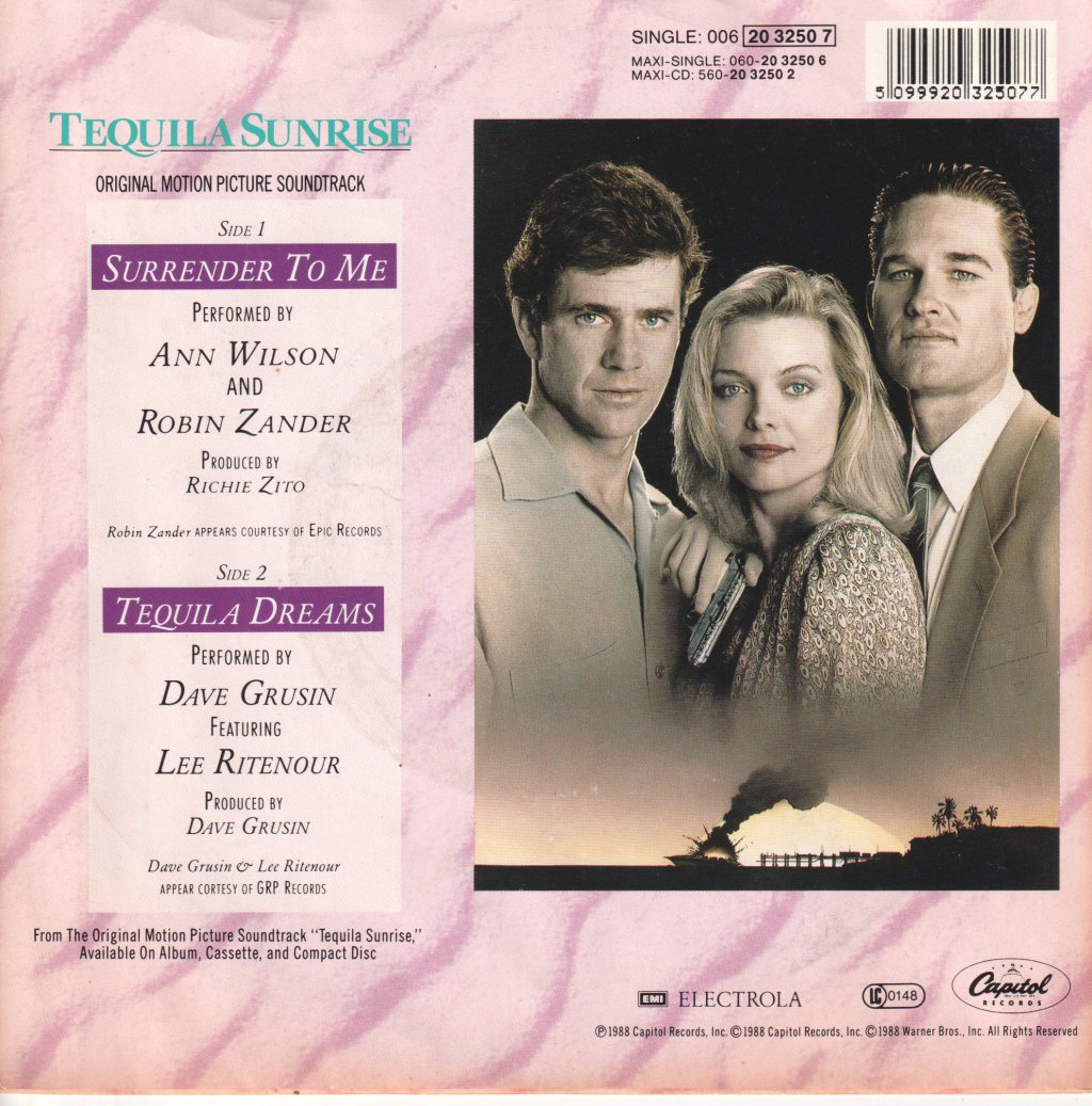Ann Wilson - Surrender To Me - 7 Inch