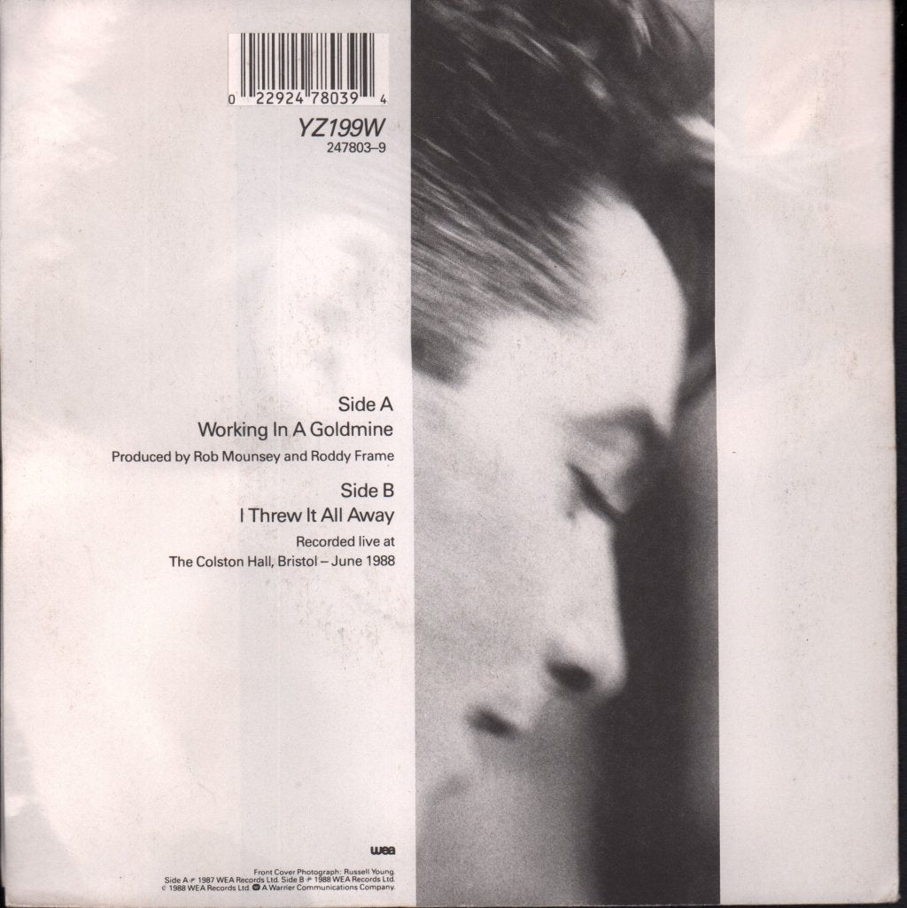 Aztec Camera - Working In A Goldmine - 7 Inch