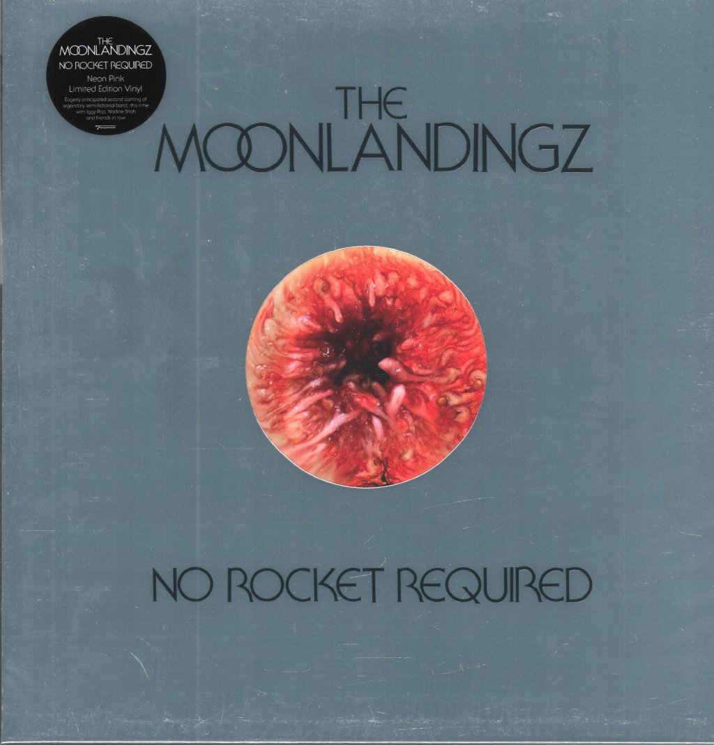 Moonlandingz - No Rocket Required - Lp