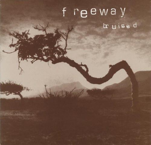freeway (lo-fi indie rock) - Bruised - Cd