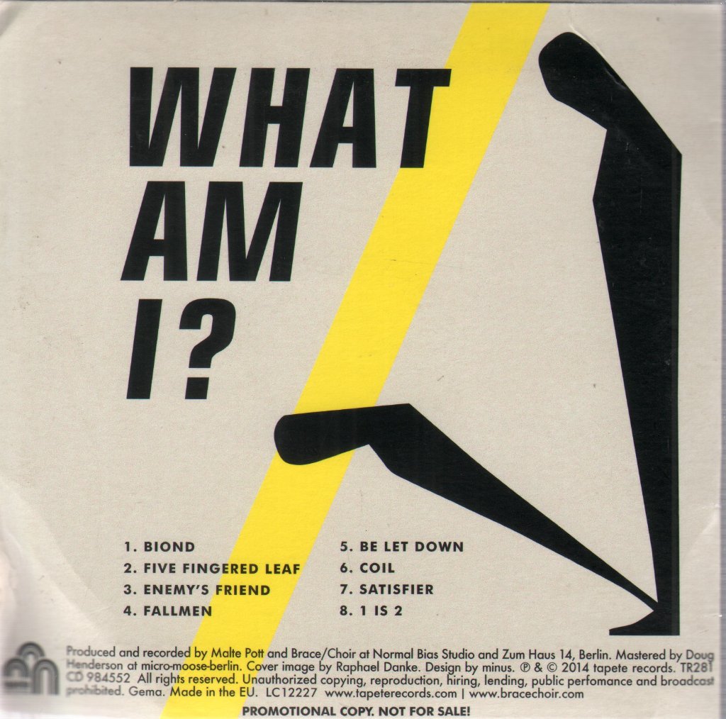 Brace Choir - What Am I - Cd