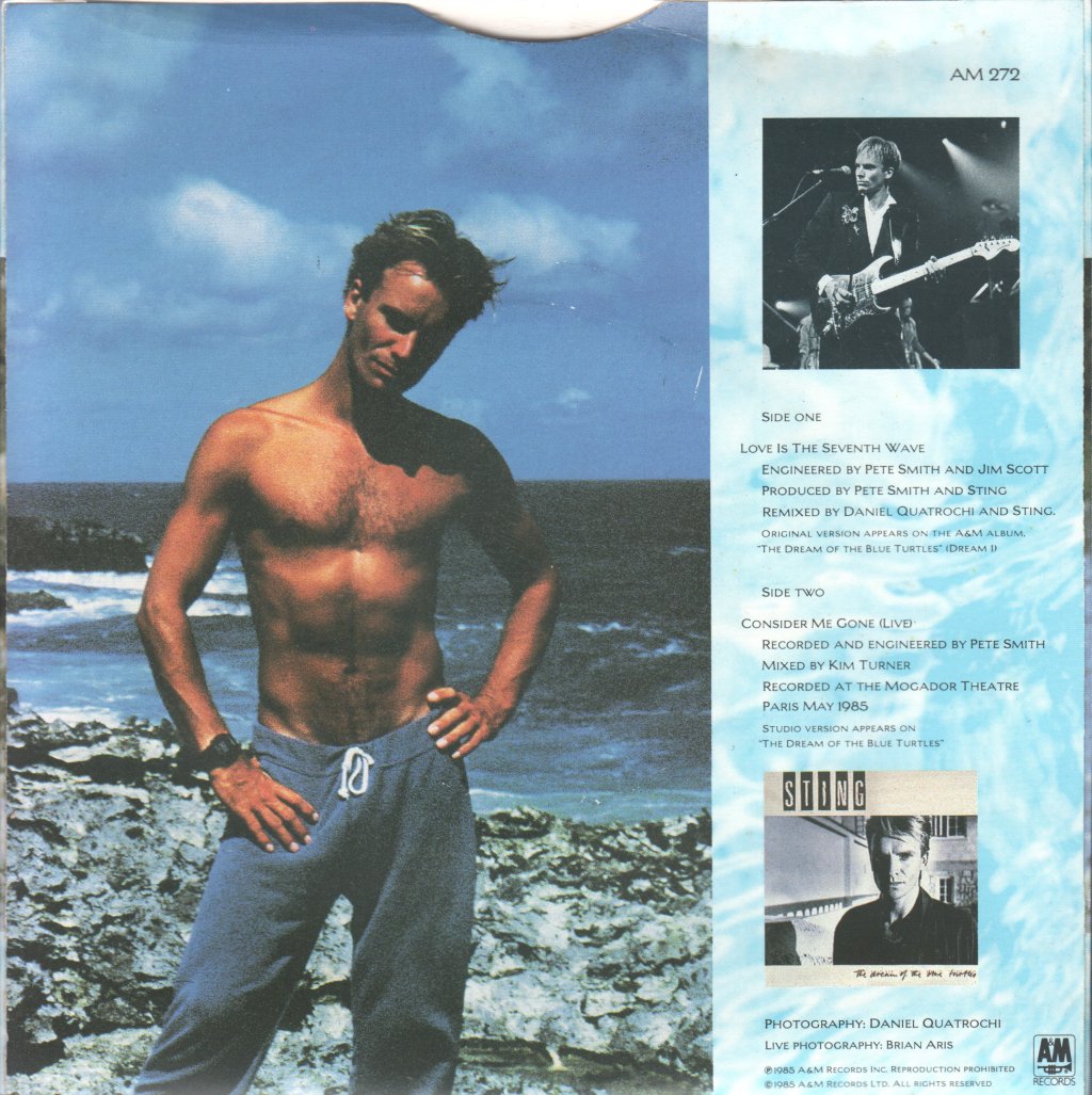 Sting - Love Is The Seventh Wave (New Mix) - 7 Inch