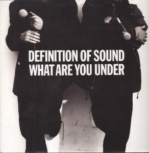 Definition Of Sound - What Are You Under - 12 Inch