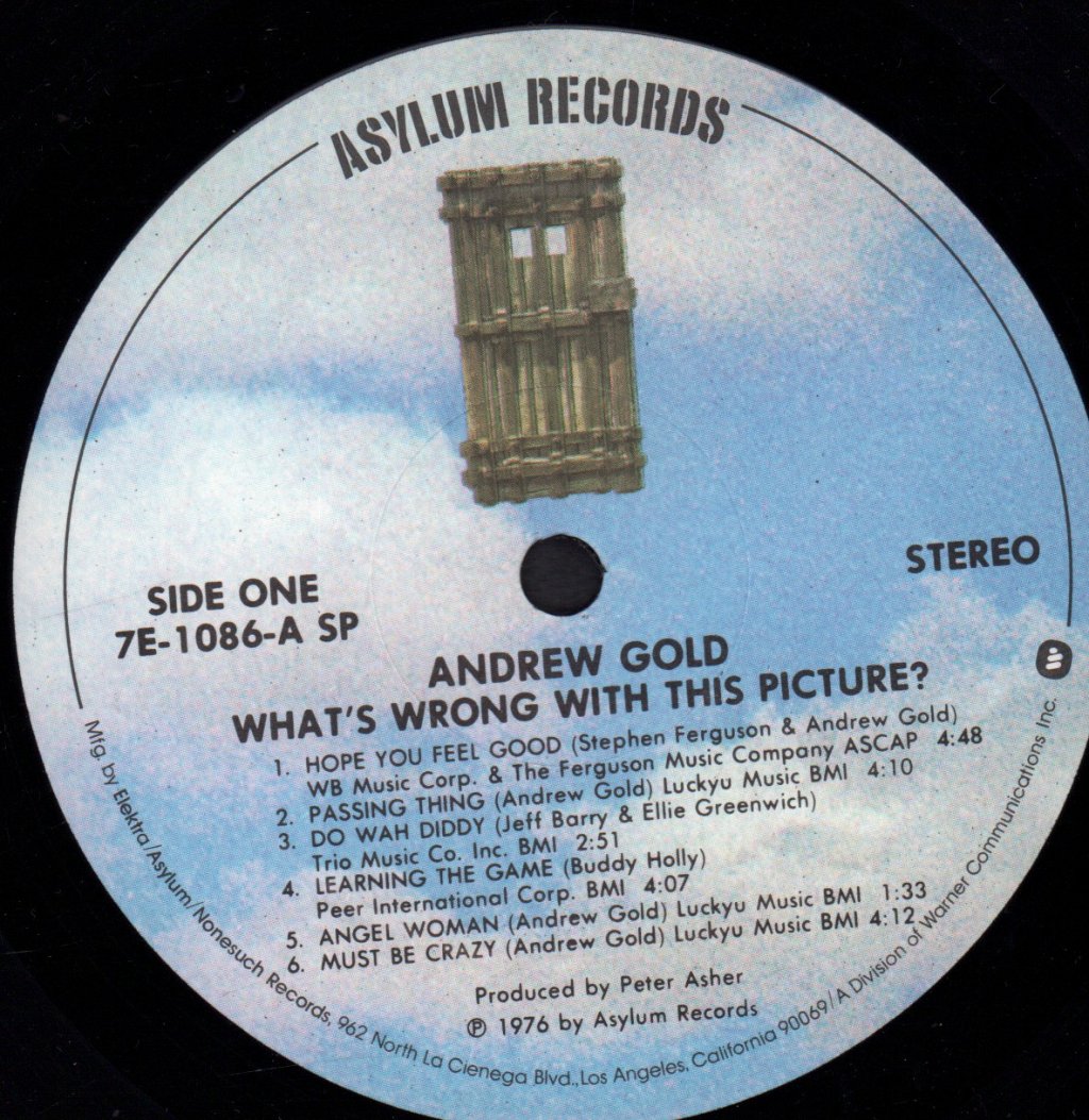 Andrew Gold - What's Wrong With This Picture - Lp
