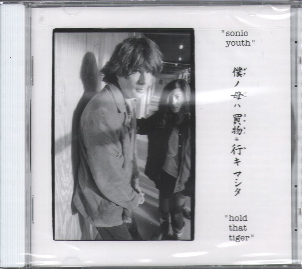 Sonic Youth - Hold That Tiger - Cd