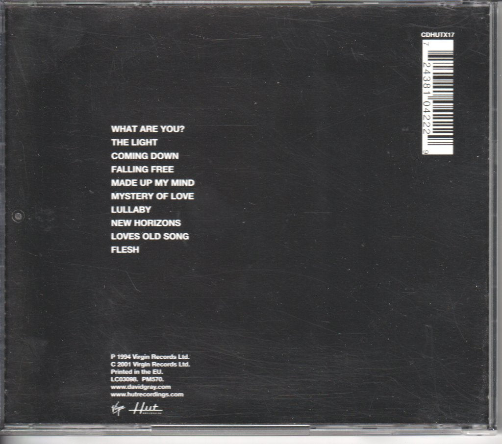 David Gray - Flesh - Cd