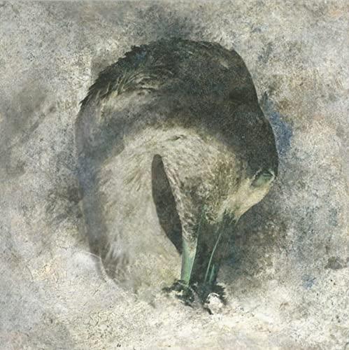 Suma - Ashes - Cd