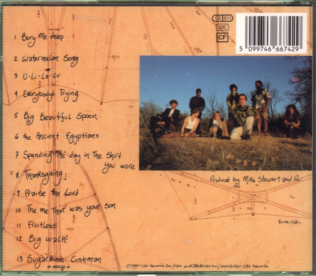 Poi Dog Pondering - Wishing Like A Mountain And Thinking Like The Sea - Cd