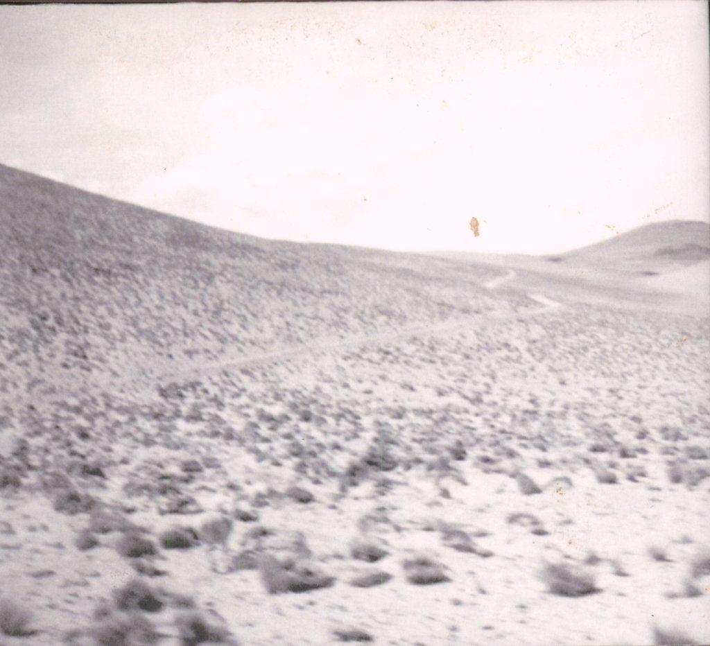 Anla Courtis - Antofagasta - Cdr