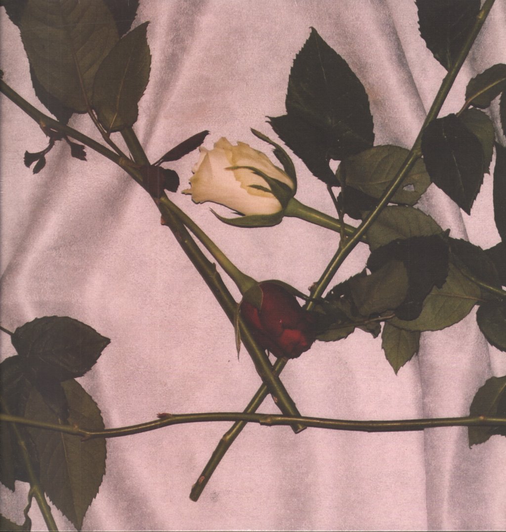 Chain Of Flowers - Chain Of Flowers - Lp