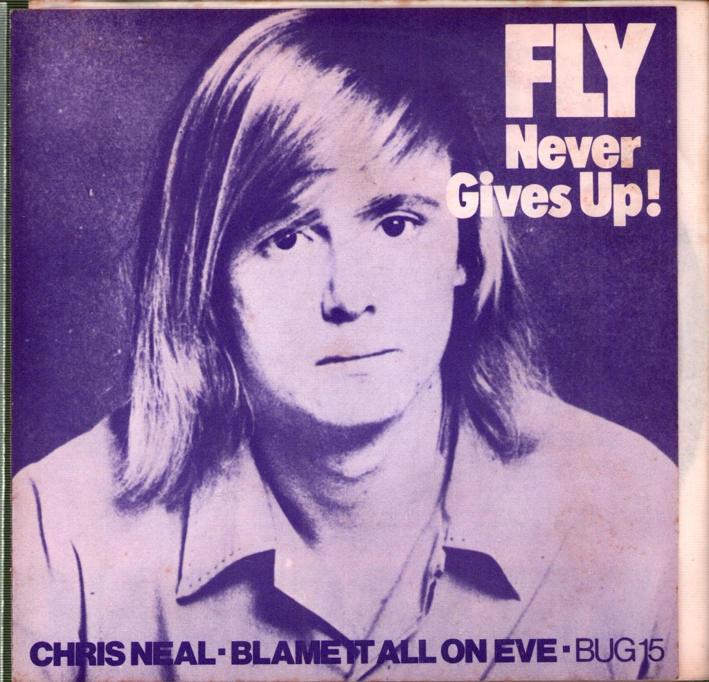 Chris Neal - Fly Never Gives Up! - 7 Inch