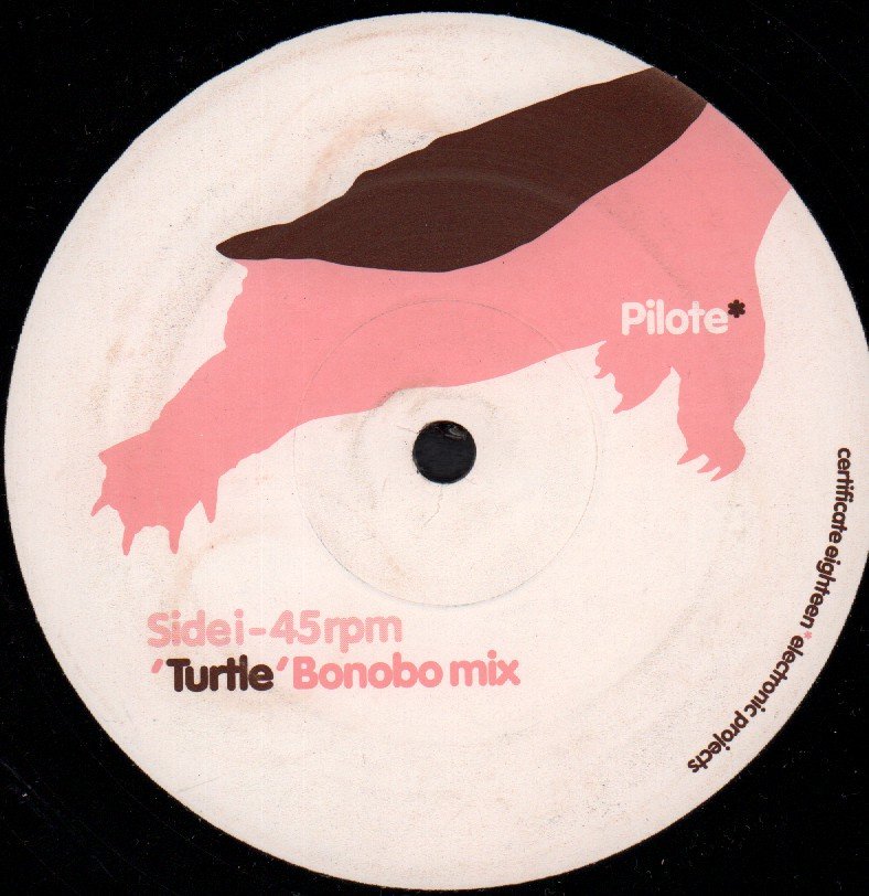Pilote - Turtle - 12 Inch