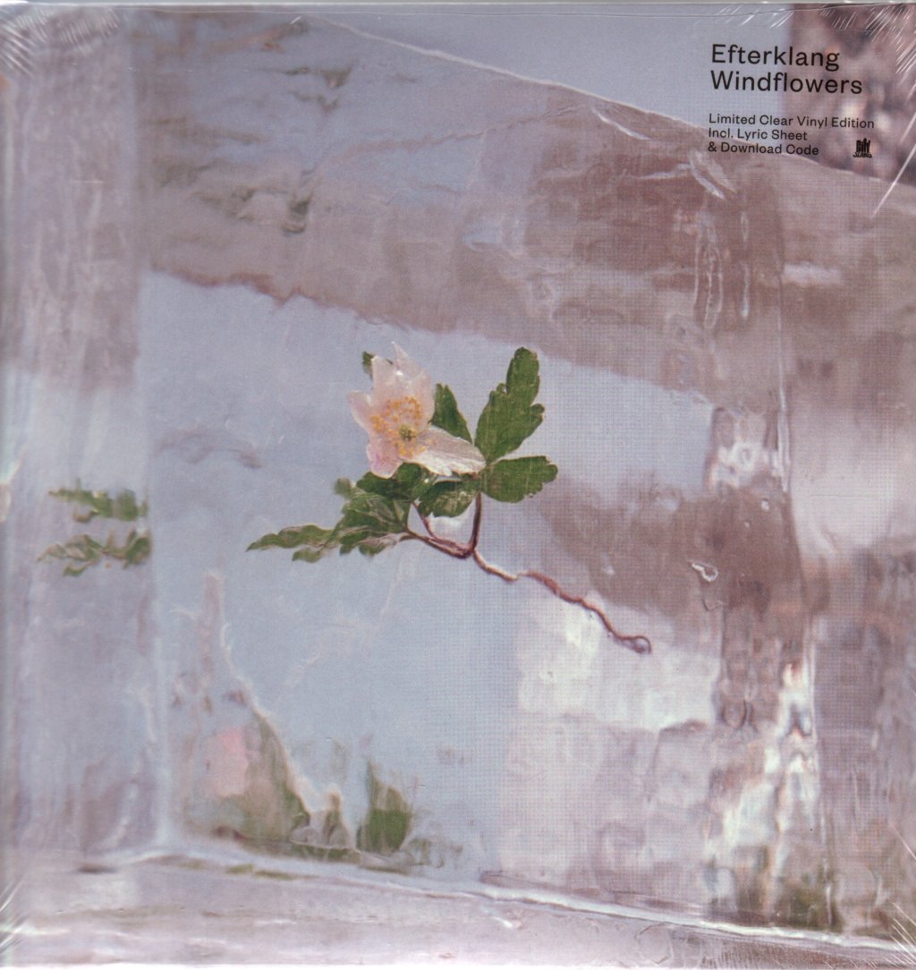 Efterklang - Windflowers - Lp