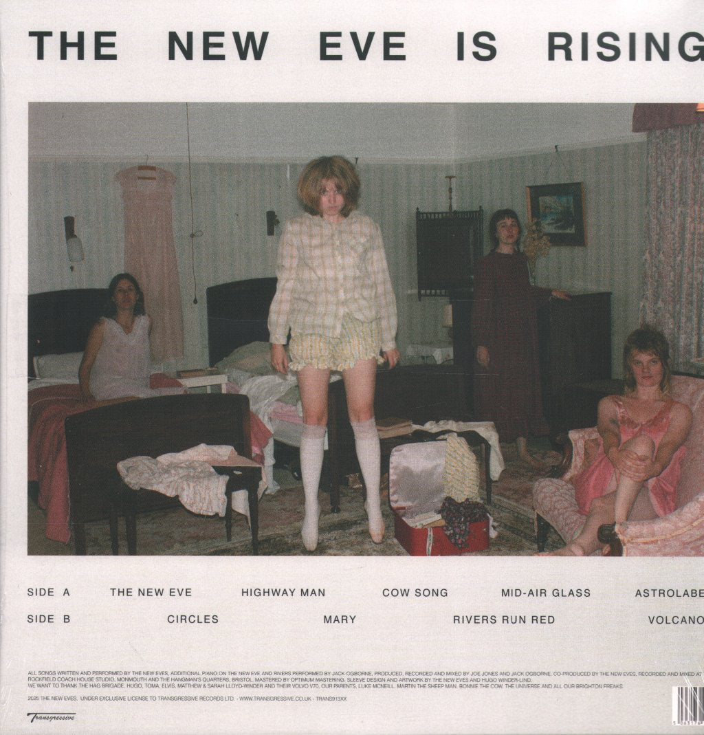 The New Eves - The New Eve Is Rising (Dinked Heavy Rotation Edition #03) - Lp