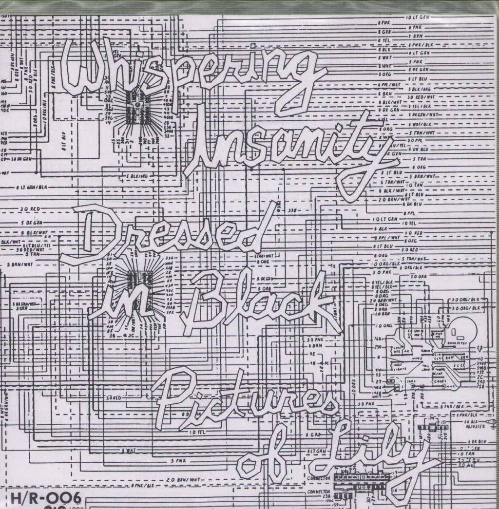 Skat Gadget - Whispering Insanity - 7 Inch