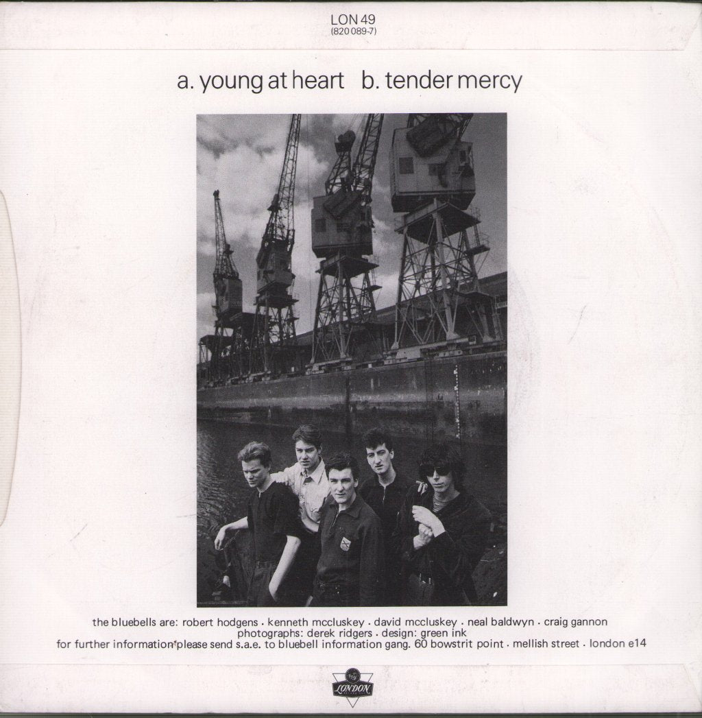 Bluebells - Young At Heart - 7 Inch