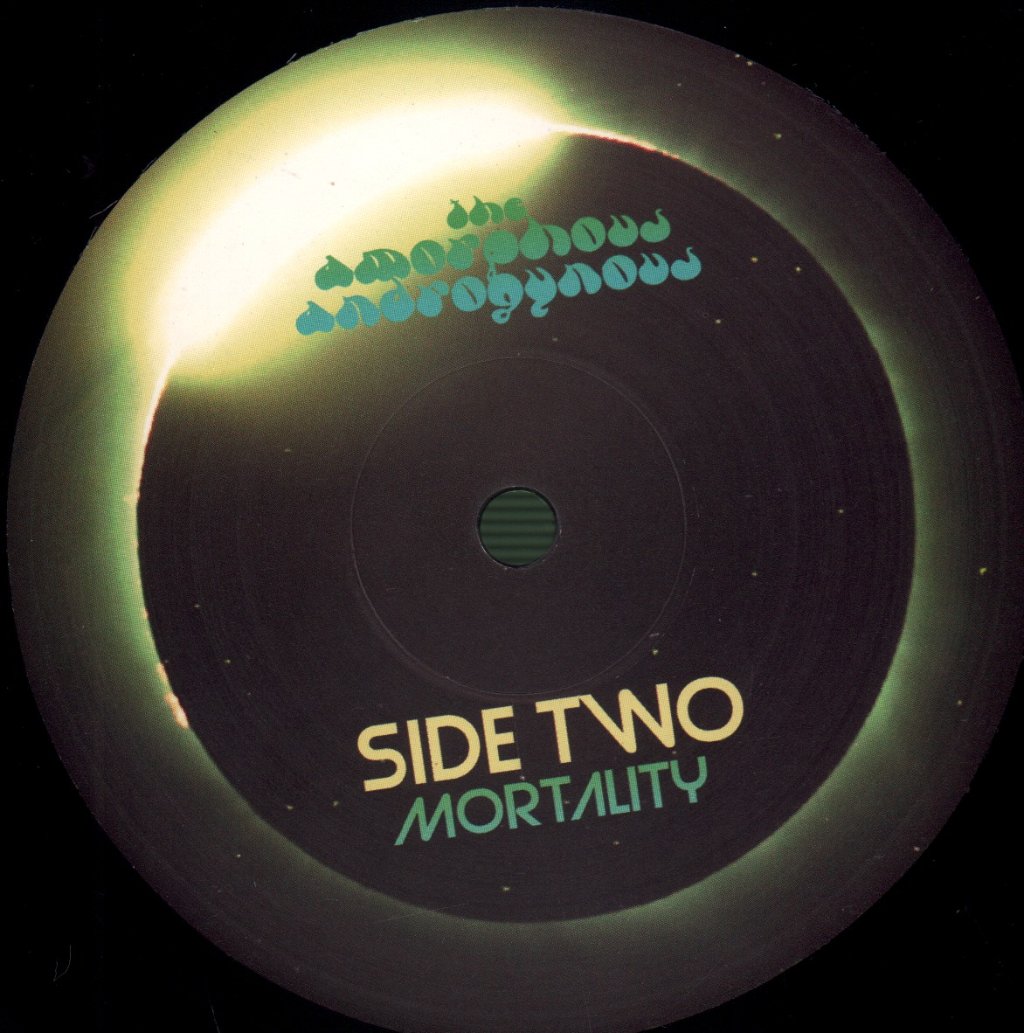 Amorphous Androgynous and Peter Hammill - We Persuade Ourselves We Are Immortal - Lp