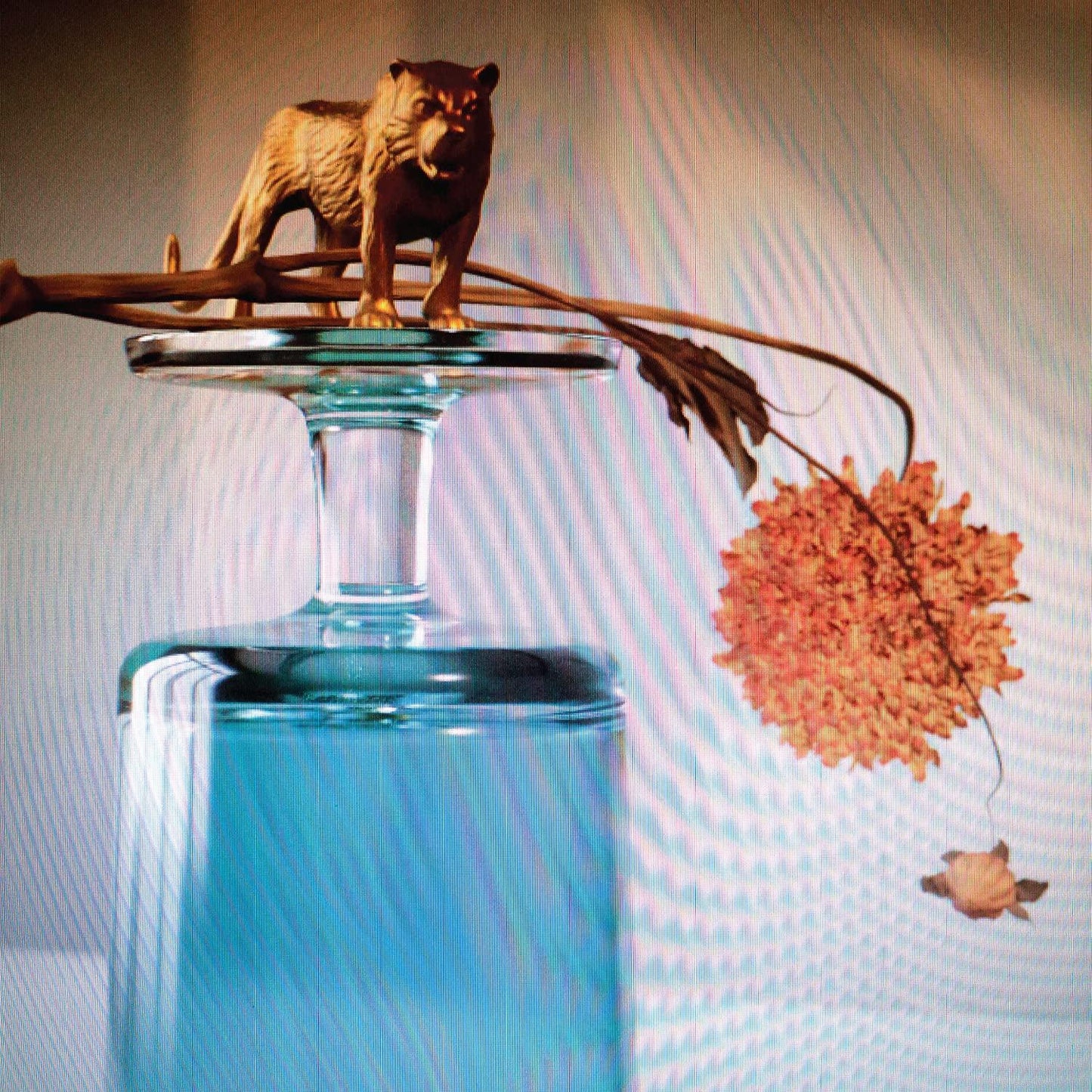 Beirut - Gallipoli - Cd