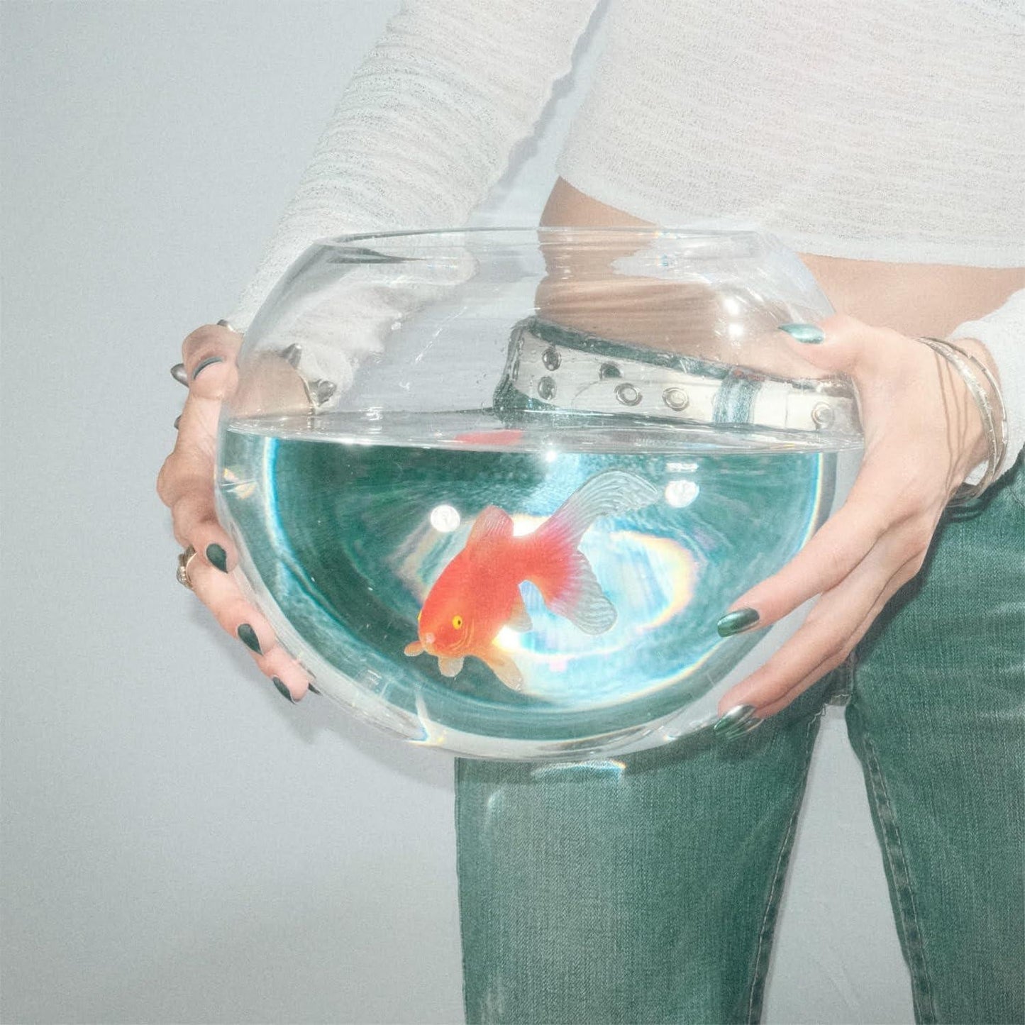 Fish Narc - Frog Song - Lp