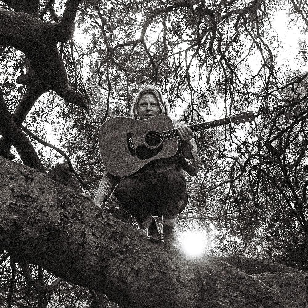 Ty Segall - Hello, Hi - Lp