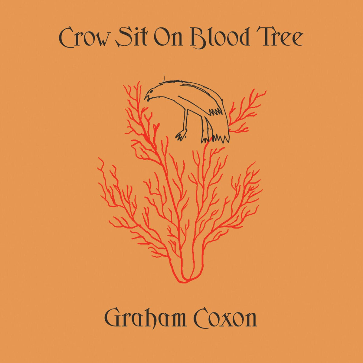 Graham Coxon - Crow Sit On Blood Tree - Lp