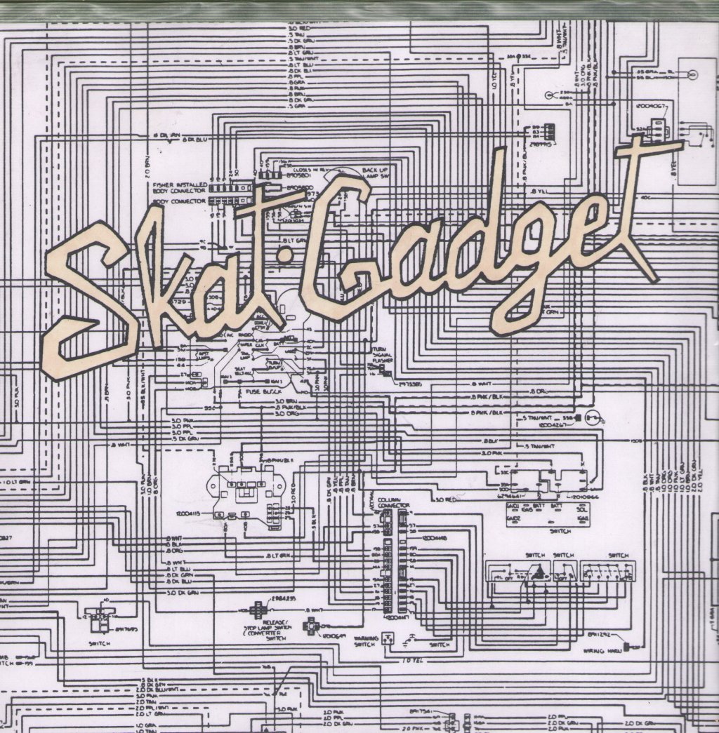Skat Gadget - Whispering Insanity - 7 Inch