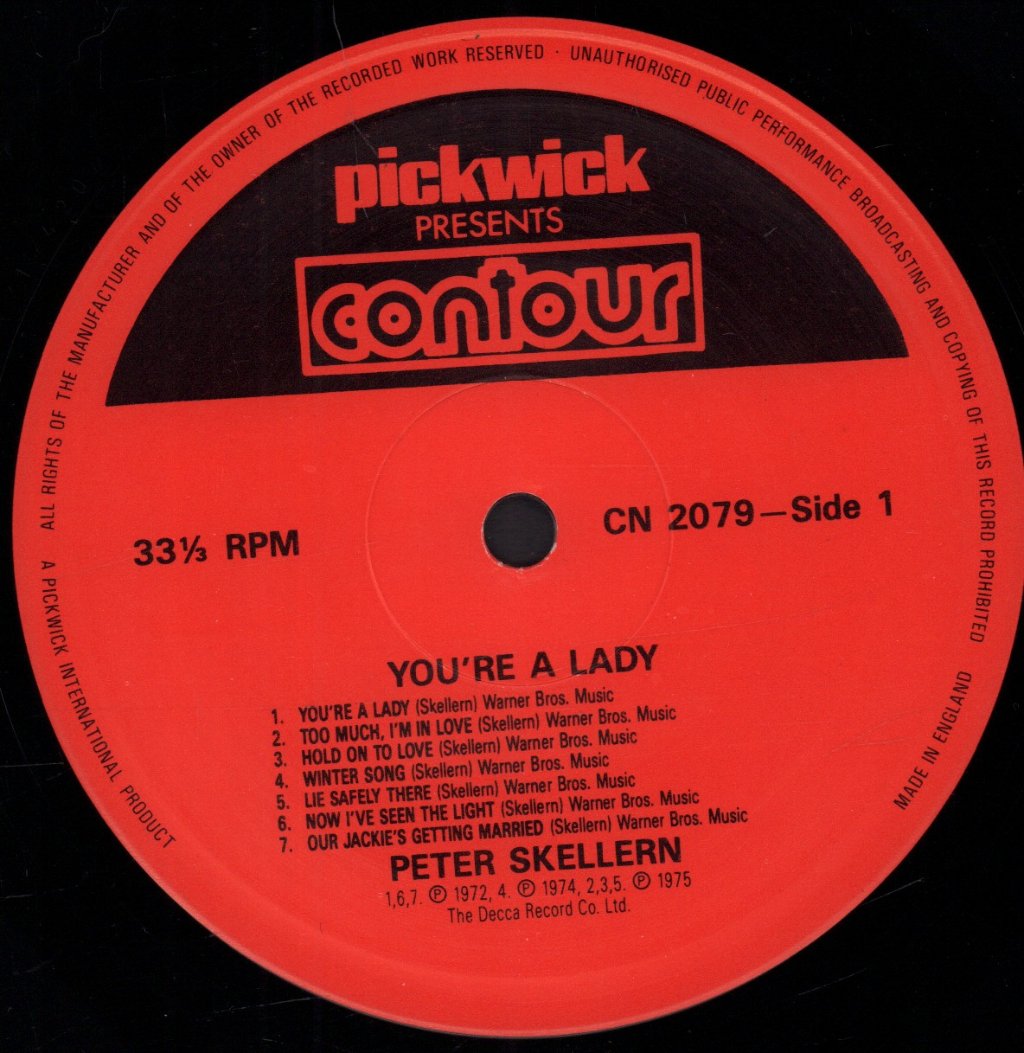 Peter Skellern - You're A Lady - Lp