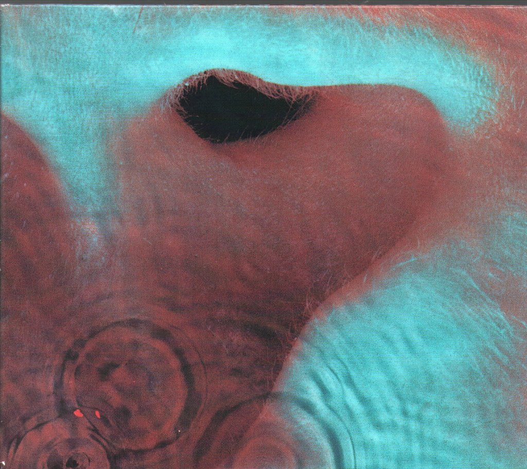 Pink Floyd - Meddle - Cd