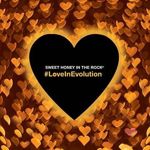 Sweet Honey In The Rock - #loveinevolution - Cd