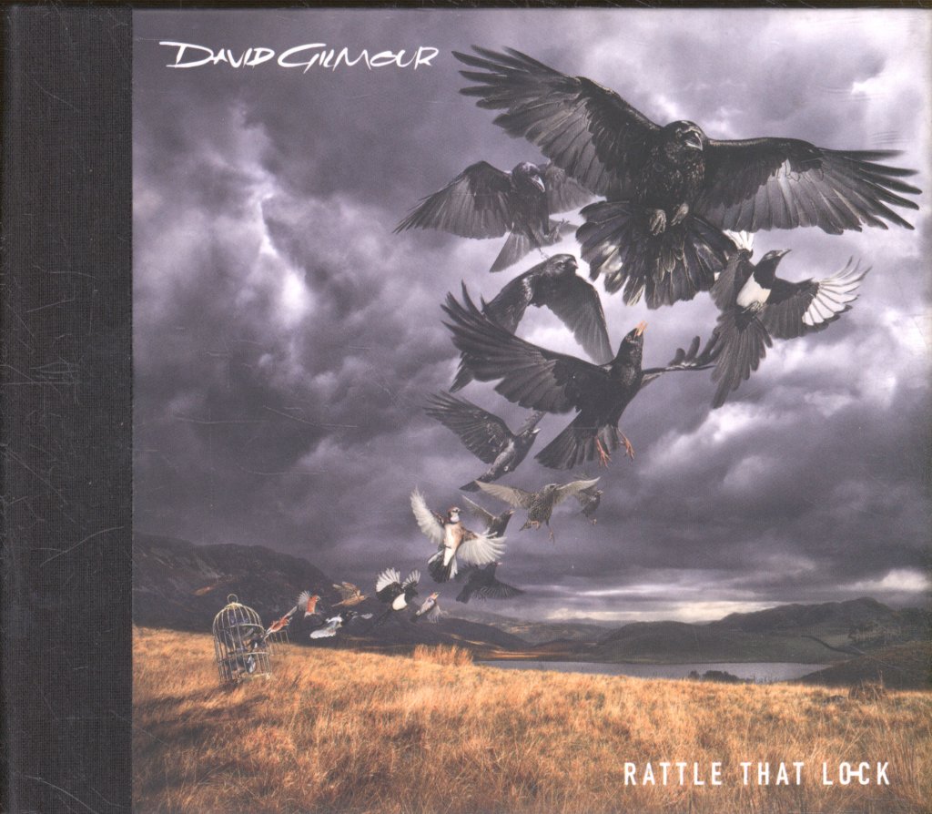 David Gilmour - Rattle That Lock - Cd